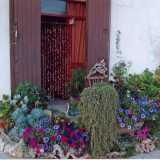 Il giardino di Angela, cos� come appariva fino all'autunno scorso: fiorellini rossi, rosa, piante bizzarre, rami e tronchi dalle forme pi� strane, sassi e pietre dalle linee irregolari e singolari 